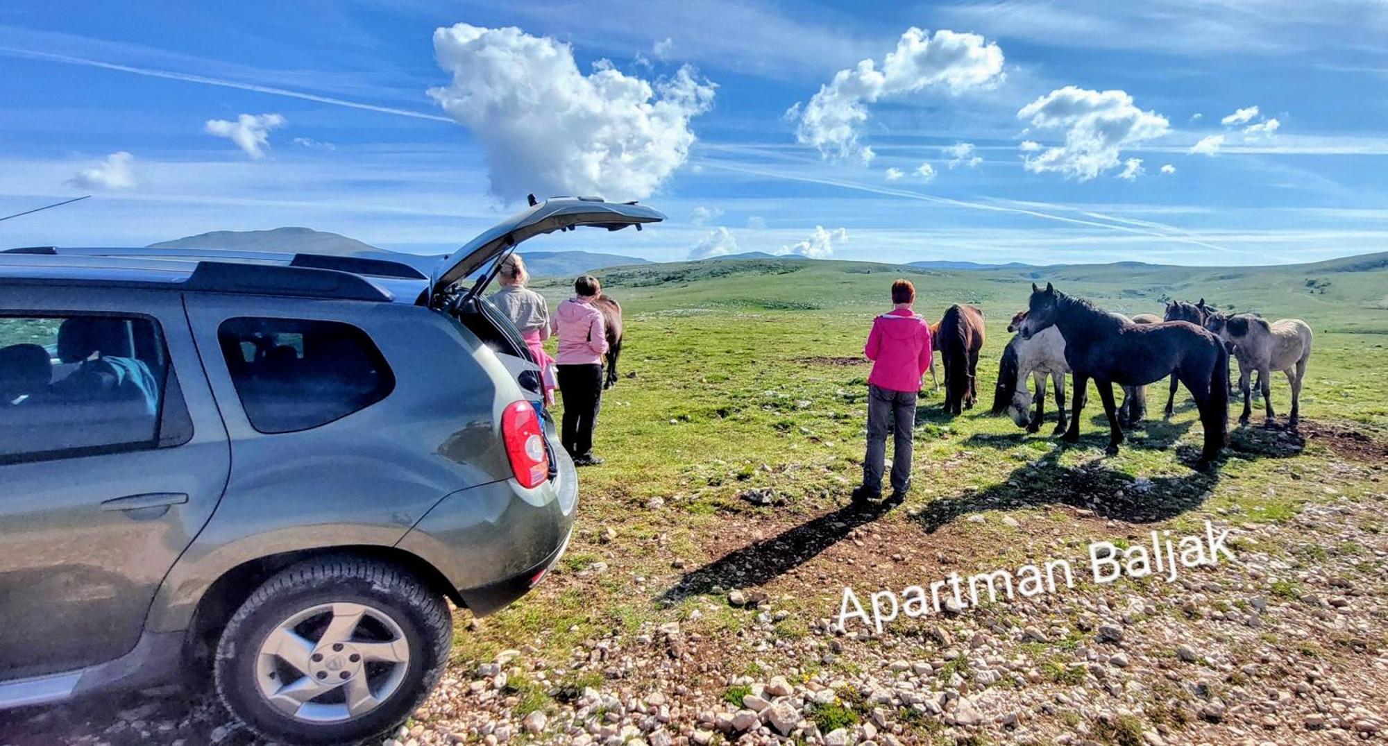 Apartman Baljak Livno Exterior foto